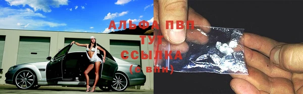 PSILOCYBIN Арсеньев