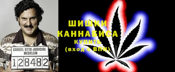 PSILOCYBIN Арсеньев