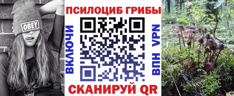 Галлюциногенные грибы Magic Shrooms  наркошоп  mega рабочий сайт  Кувшиново 